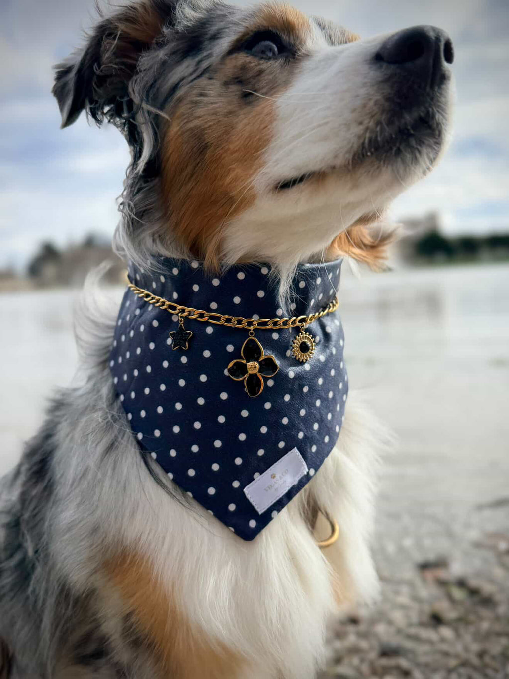 Chaîne à charms pour bandana canin