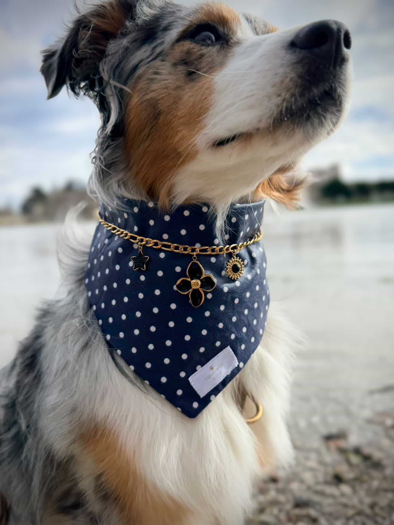 Chaîne à charms pour bandana canin