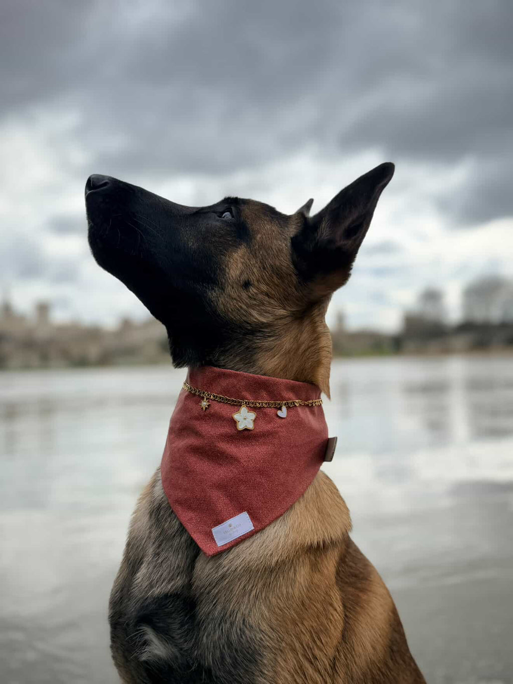 Chaîne à charms pour bandana canin