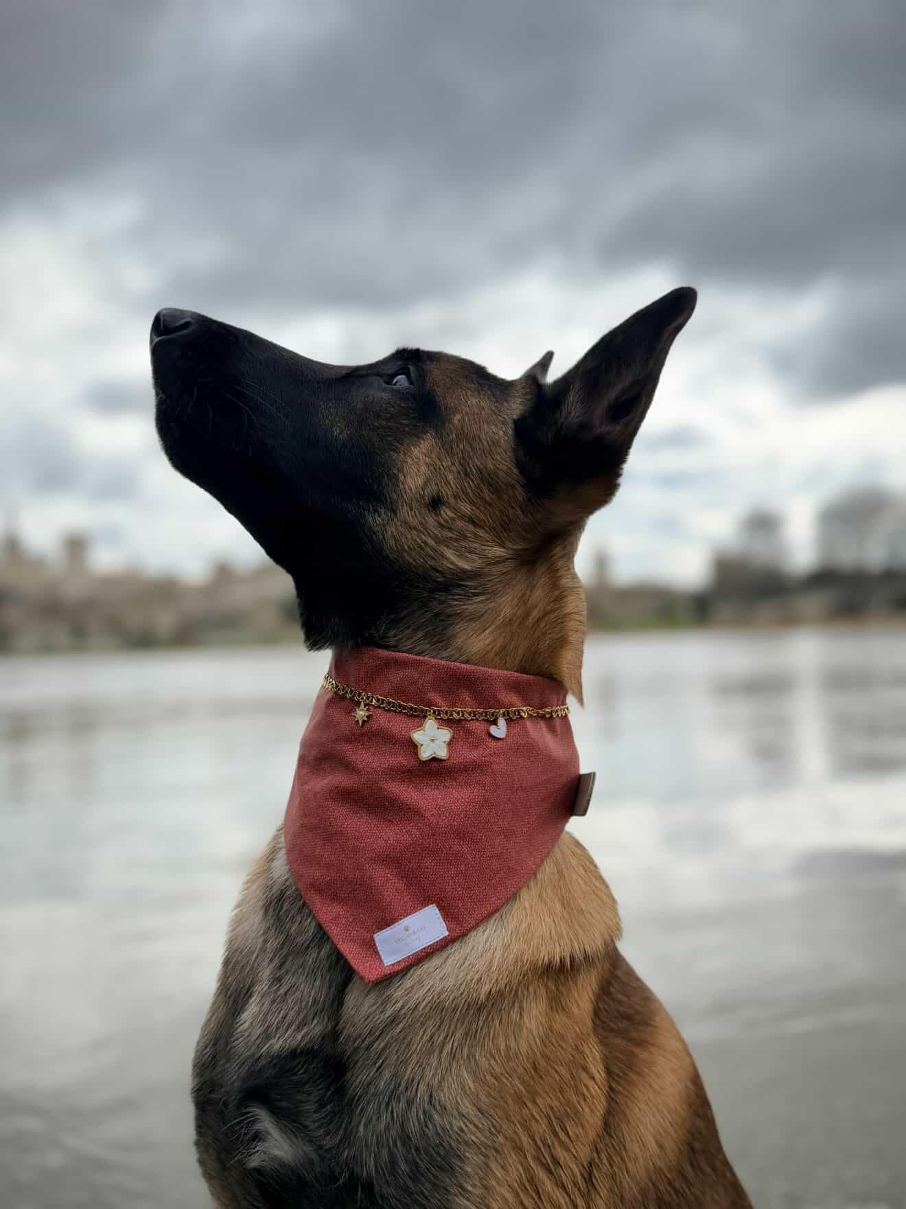 Chaîne à charms pour bandana canin